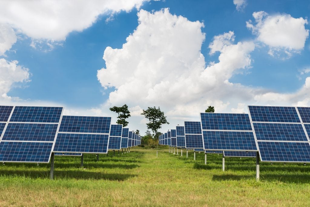 Solar panels in field