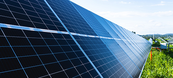 fcs-green-programs solar panels on grass at Acorn Solar Farm in Harrisonburg Virginia